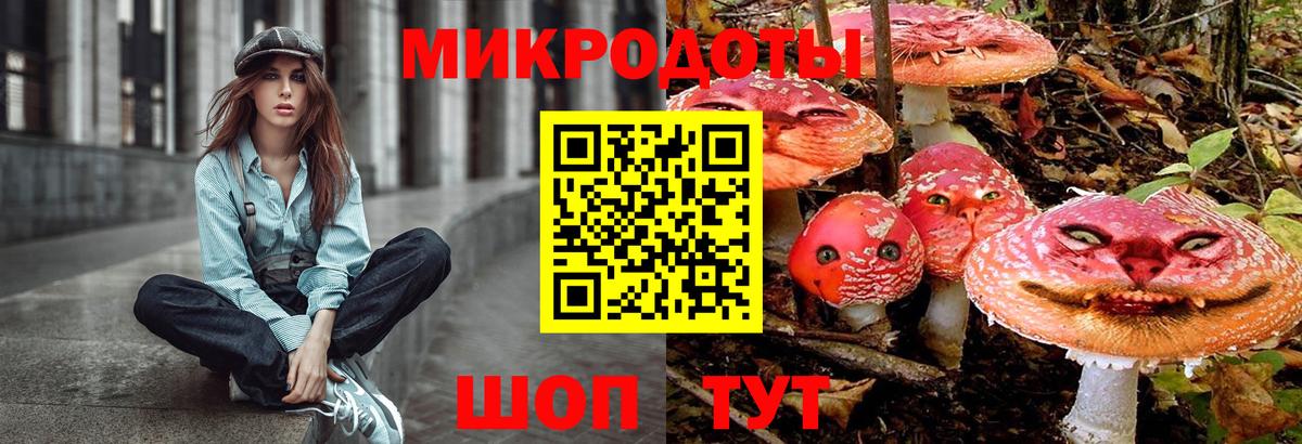 Галлюциногенные грибы прущие грибы  Вход с VPN  Вышний Волочёк 
